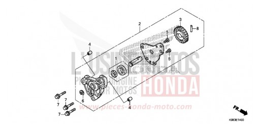 OIL PUMP CBF125NAJ de 2018